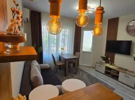 YaVi's Central Apartment