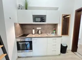Apartmán Tomkova, centrum