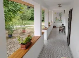 Parittyaház