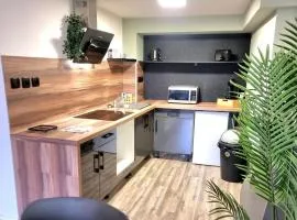 New Triplex Casanna Vieille Ville