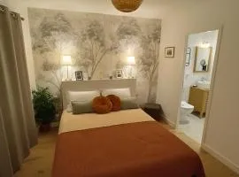Chambre indépendante proche Saint-Emilion