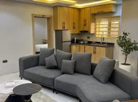 Appealing Apartment