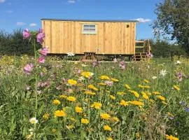 Shepherds Hut 6