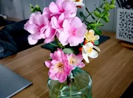 Very modern 2-BEDROOMS garden apartment, SLEEP up to 4, Only 1 booking at time, Private entrance, FREE PARKING, Super Fast Wi-Fi, Netflix, Kitchenette, Heating, Air-Con, smoking area