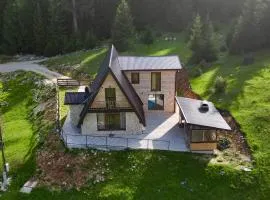 Vila Suvo vrelo sa unutrašnjim bazenom i saunom Jahorina