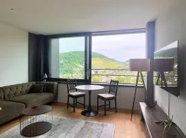 Business Apartment Baden Central Station