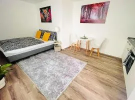 Apartment in Zentrumsnähe NETFLIX SELF CHECK-IN