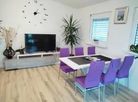 Holiday house Zala