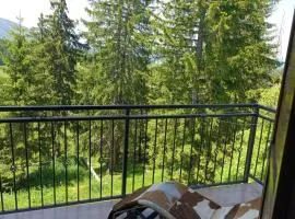 Apartman Hare