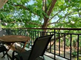 Platanus Retreat