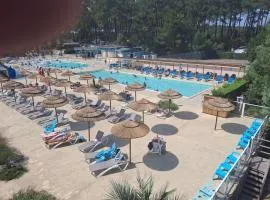 les dunes de contis