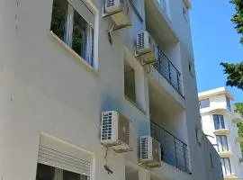 Apartmani Aco Rudinac Čanj