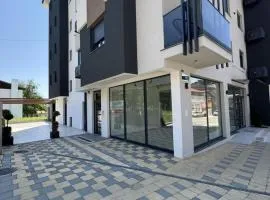 Apartman Tasic