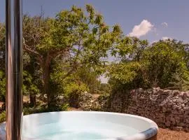 Historic 1883 Trulli with Nordic Tub spa in a private Garden - Valle d'Itria