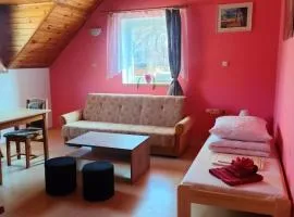 Apartmán v Záchranné stanici Pasíčka