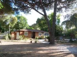 Chalet plein de charme au calme près de st tropez