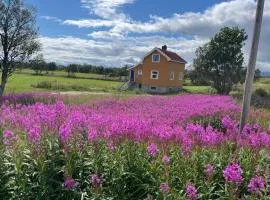 Bogstrand, Dverbergveien 11, 8485 Dverberg