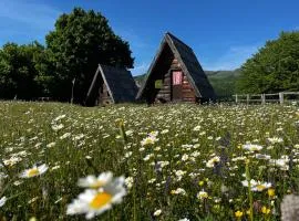 Jatak Cabins and Camping