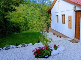 Hilltop Cottage in Szentendre, mountain view, terrace, garden, hotel v destinaci Szentendre