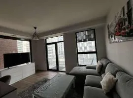 Downtown appartment with amazing view