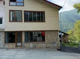 İnce House