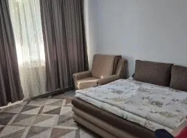 Tulcea Central Apartment