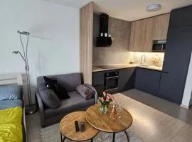 Victory apartment
