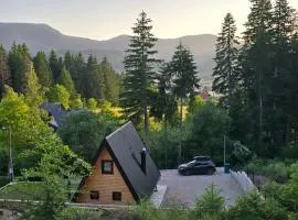 Vikendica Villa Marija Pale