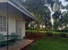Kakamega Forest Glamping Cabin