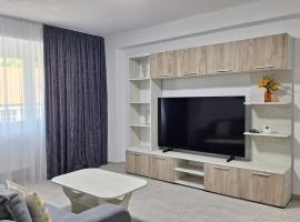 Argeş Central, acomoda&ccedil;&atilde;o com cozinha em Curtea de Argeş