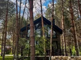 WILLA LABA CHAŃCZA nad jeziorem, dom w lesie z opcją balii
