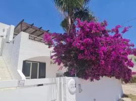 Il Rosmarino Casa Vacanze