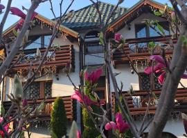 Hotel & Apartments G S, viešbutis mieste Mikulčinas