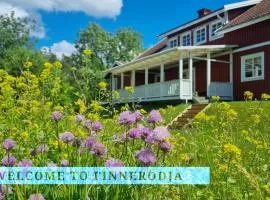 Holiday House "Goldstück" Finnerödja
