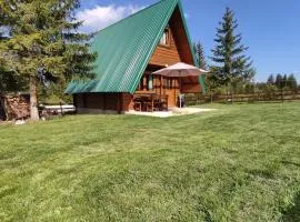 Holiday chalet Asterix