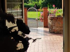 Appartamento Cardellini 1, hotel a Pescia