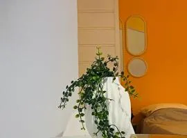 Cacao House
