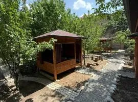 Lovely home shatry