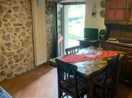 Mary Home