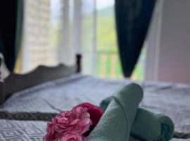 Beach & Lake Retreat, hotel in Železnička Stanica Ostrožac