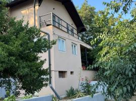 Casa Ema, hotel en Orşova