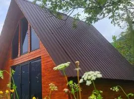 Svanieri Cozy Cottage in the Mountains
