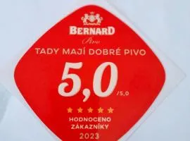 Penzion U Dračí skály