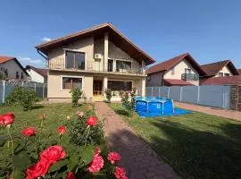 Villa cu 4 dormitoare de 3 stele Timiș, perfectă pentru familii sau grupuri