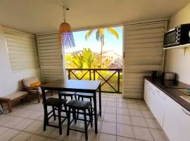 Le Tamarin bleu - plages - parking - clim - wifi