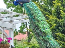 Paradise villa apartment, hotel v Praze