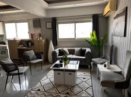 Luxury Nasr City Apartment Close to City Center and Shopping Malls
