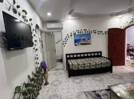 Zayed building