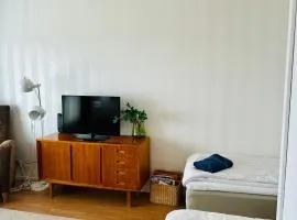 Tilava kt yksiö, lasitettu parveke