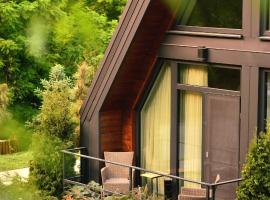 Chalet by Provence Suceava, accommodation in Suceava